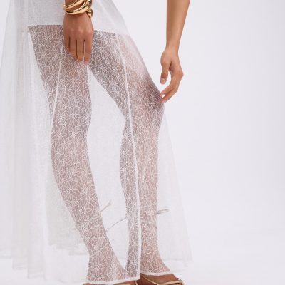 Sheer Lace A-Line Maxi Skirt